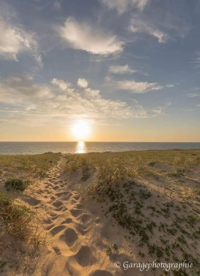 Moliets Plage Appartement Pour 4 Piscine Proche Plage Et Commerces Екстериор снимка